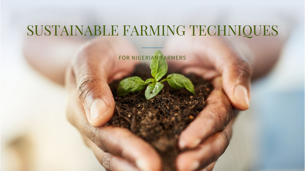 Sustainable Land Management Techniques for Nigerian Farmers