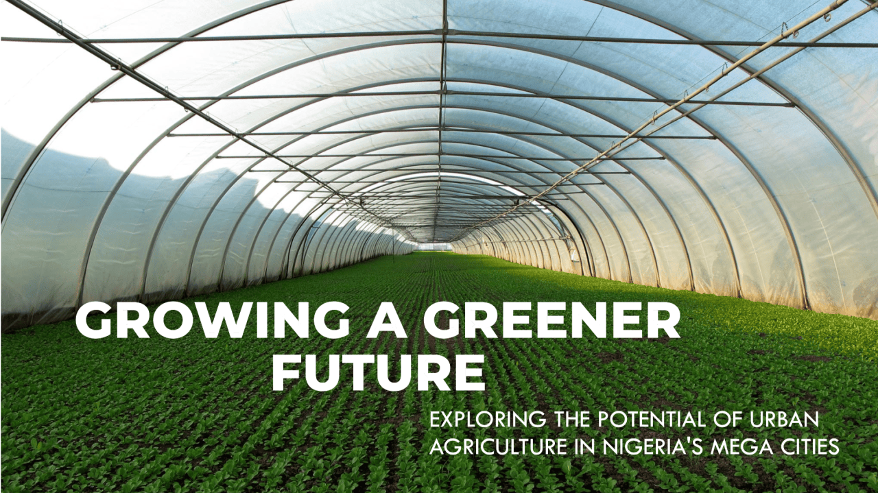 The Future of Urban Agriculture in Nigeria’s Mega Cities